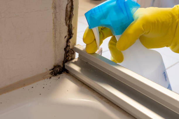 Trusted Livingston, CA Mold Removal Experts