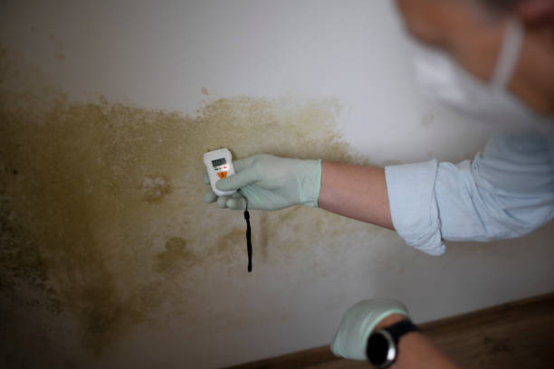 Best Office Mold Removal Services  in Livingston, CA