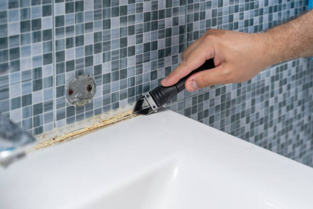 Attic Mold Removal in Livingston, CA