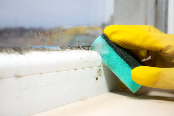Crawl Space Mold Removal in Livingston, CA
