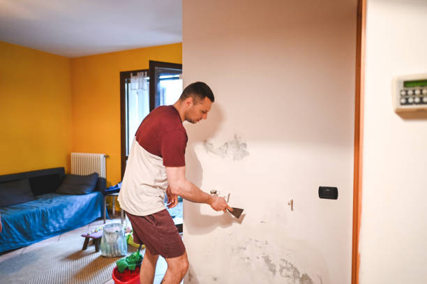 Best Mold Damage Repair  in Livingston, CA