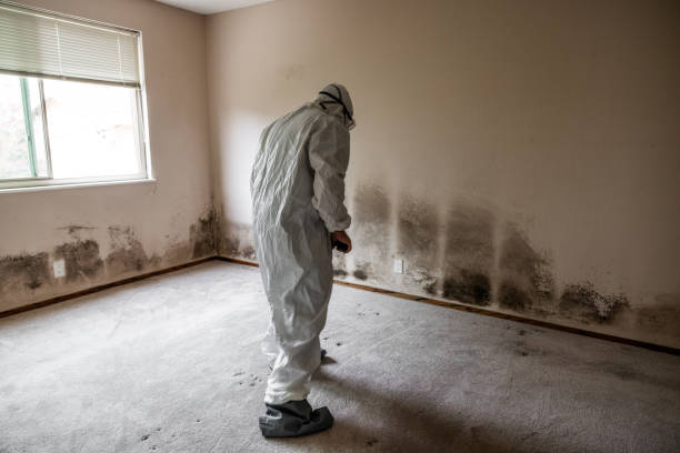 Best Local Mold Removal Service  in Livingston, CA