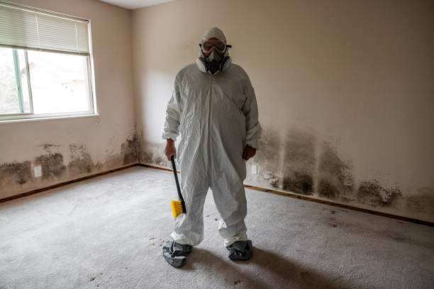 Best Certified Mold Removal  in Livingston, CA